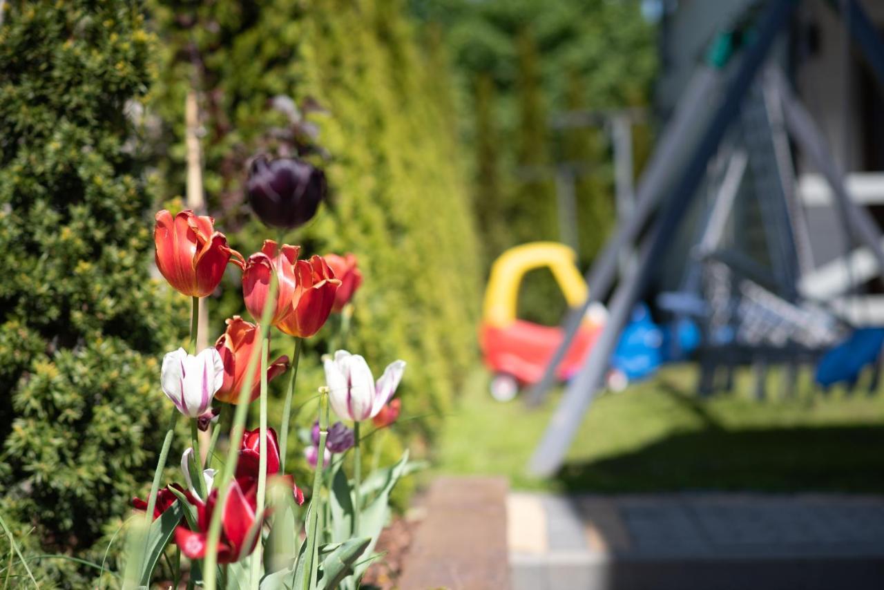 Domki Jelonek - Caloroczne, Ogrzewane, Klimatyzowane Władysławowo Extérieur photo